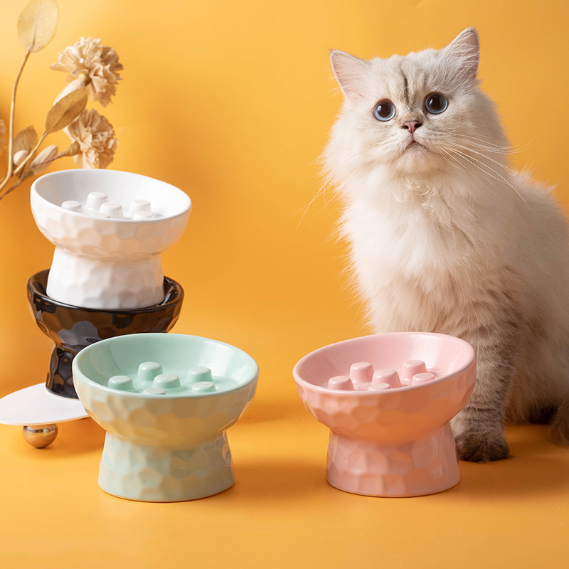 1 pièce Gamelle en céramique s - Slow Cooker Ceramic avis et prix