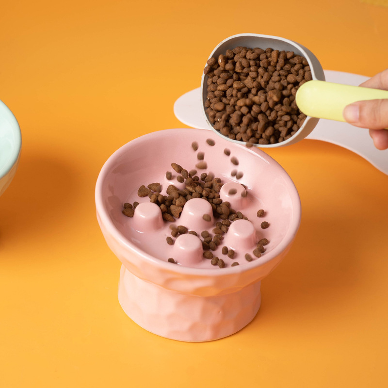 1 pièce Gamelle en céramique s - Slow Cooker Ceramic avis et prix