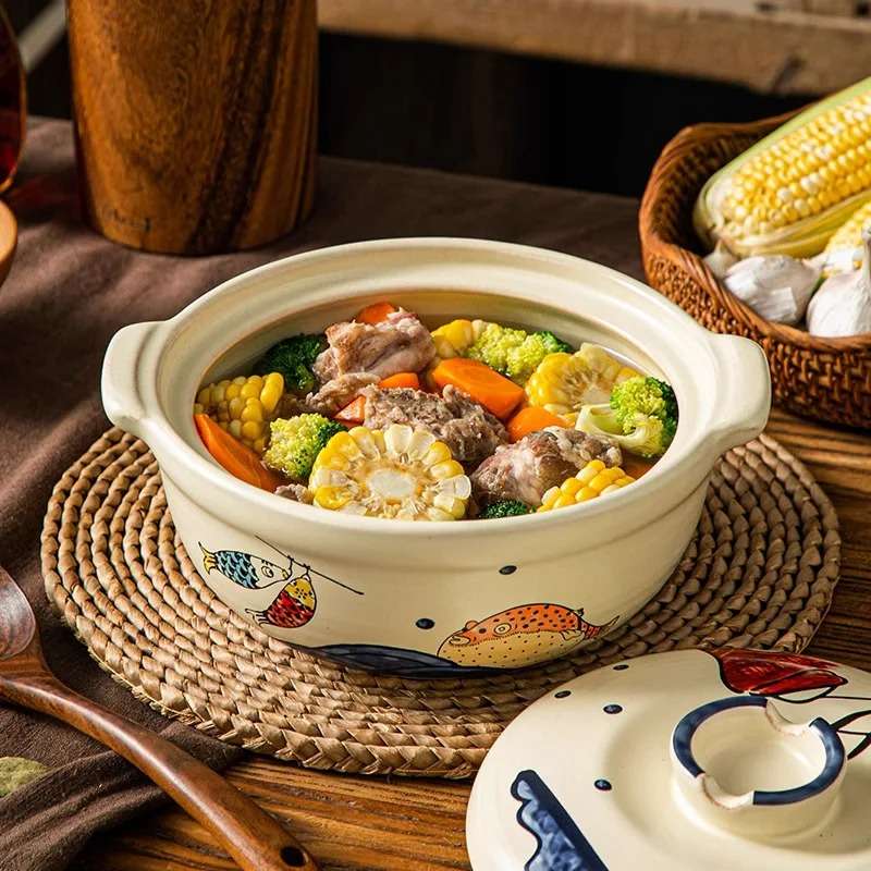 Marmite en céramique pour la c - Slow Cooker Ceramic avis et prix