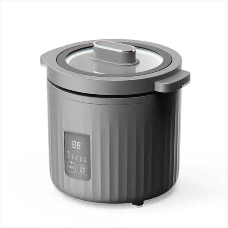 Mini-cuiseur à riz 1L 110V, ma - Slow Cooker Ceramic avis et prix