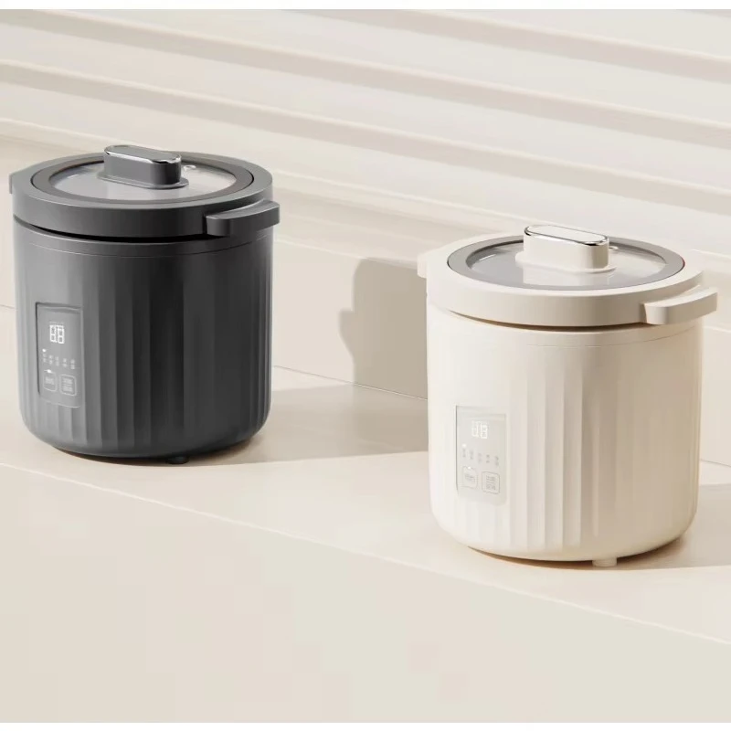 Mini-cuiseur à riz 1L 110V, ma - Slow Cooker Ceramic avis et prix